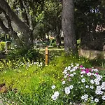 Entire Ground Floor In Beautiful בית נופש