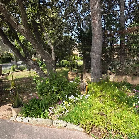 Entire Ground Floor In Beautiful Nyaraló